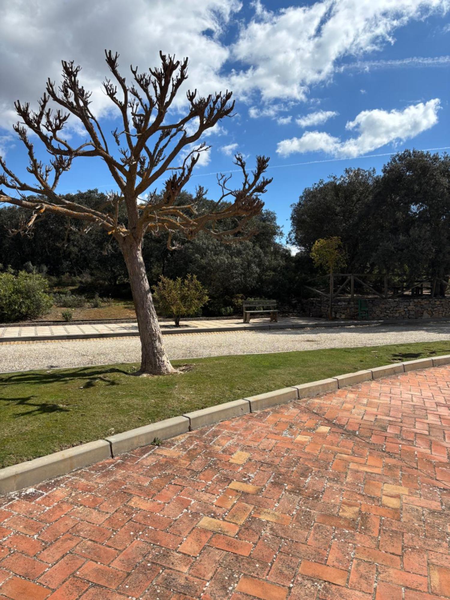 Hotel Rural Carlos Astorga อาร์ชิโดนา ภายนอก รูปภาพ